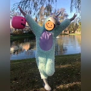 Adorable 5T Llama costume